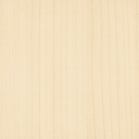 beech bright